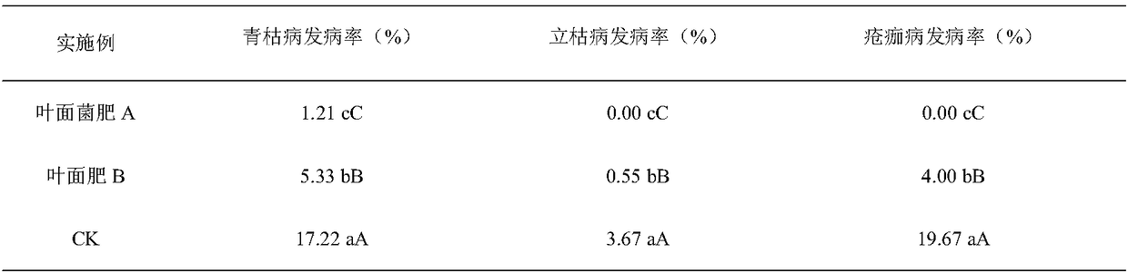 Vegetable foliar bacterial fertilizer as well as preparation method and application thereof