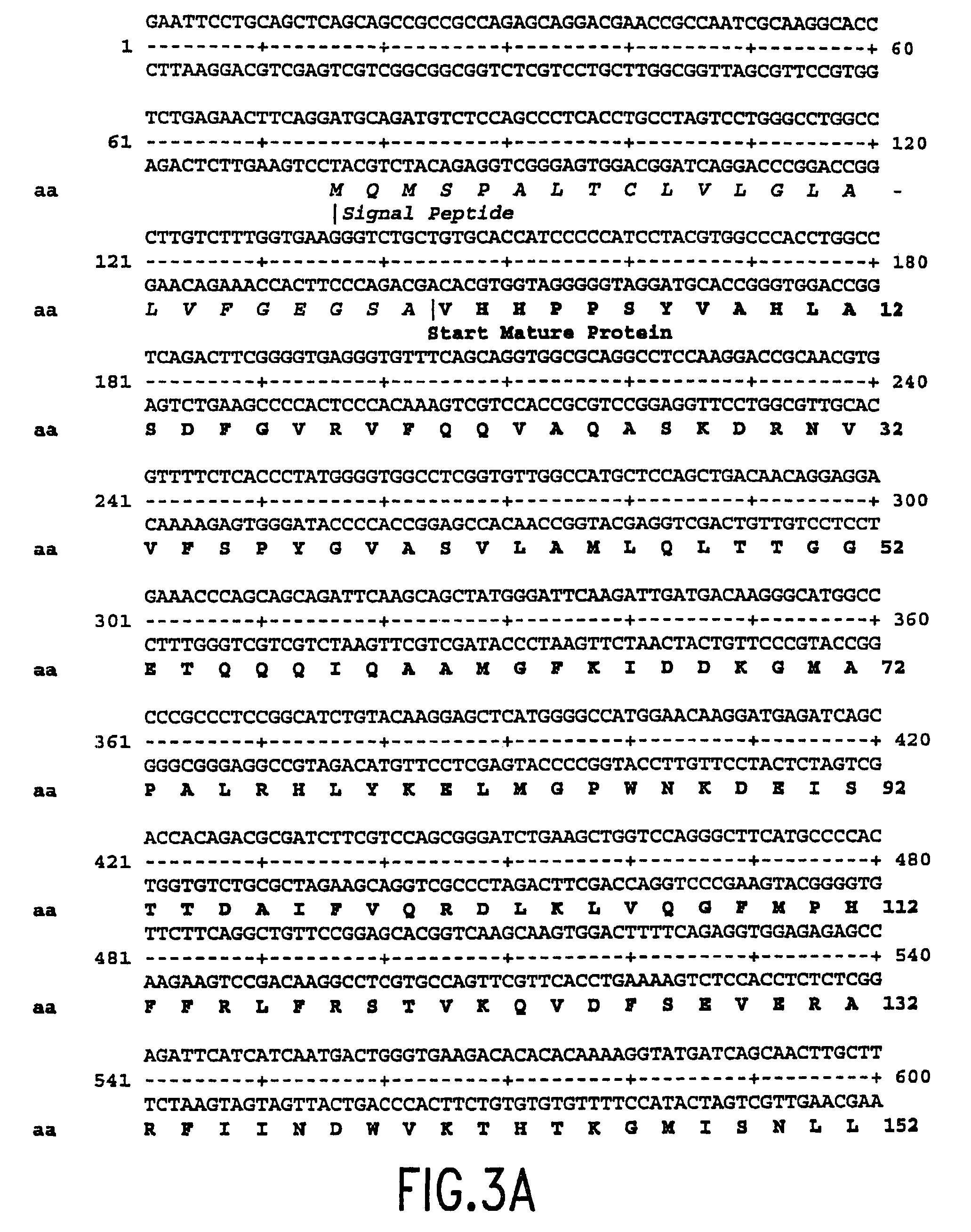 Mutant plasminogen activator-inhibitor type 1 (PAI-1) and uses thereof