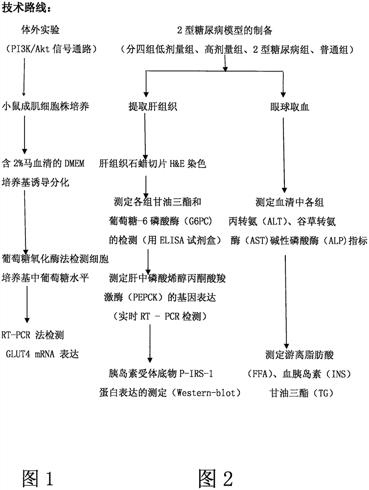 Method and system for treating type 2 diabetes mellitus by using astragalus flavone extract