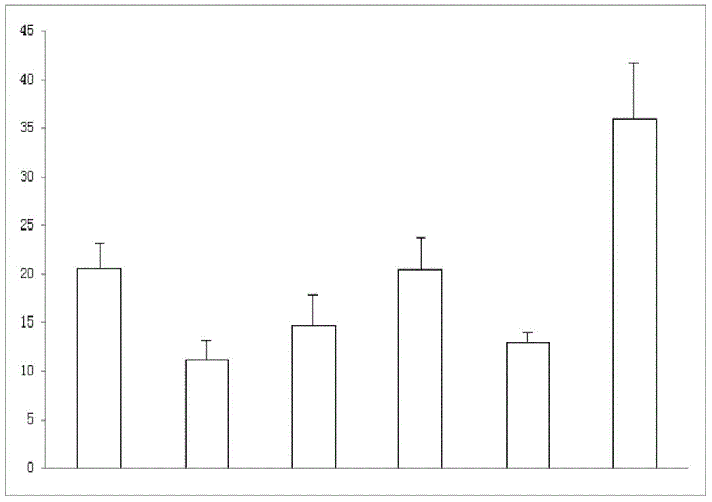 Application of fructose in antiepileptic drug preparation