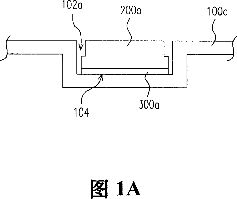 Marked electronic device shell