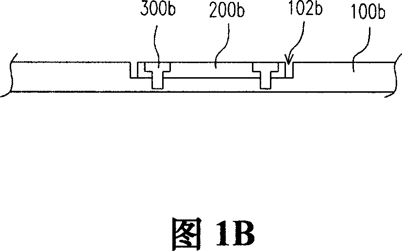 Marked electronic device shell