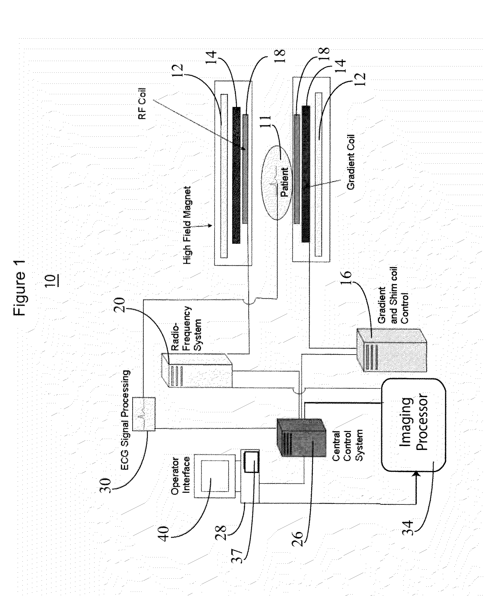 System for Image Acquisition With Fast Magnetic Resonance Gradient Echo Sequences