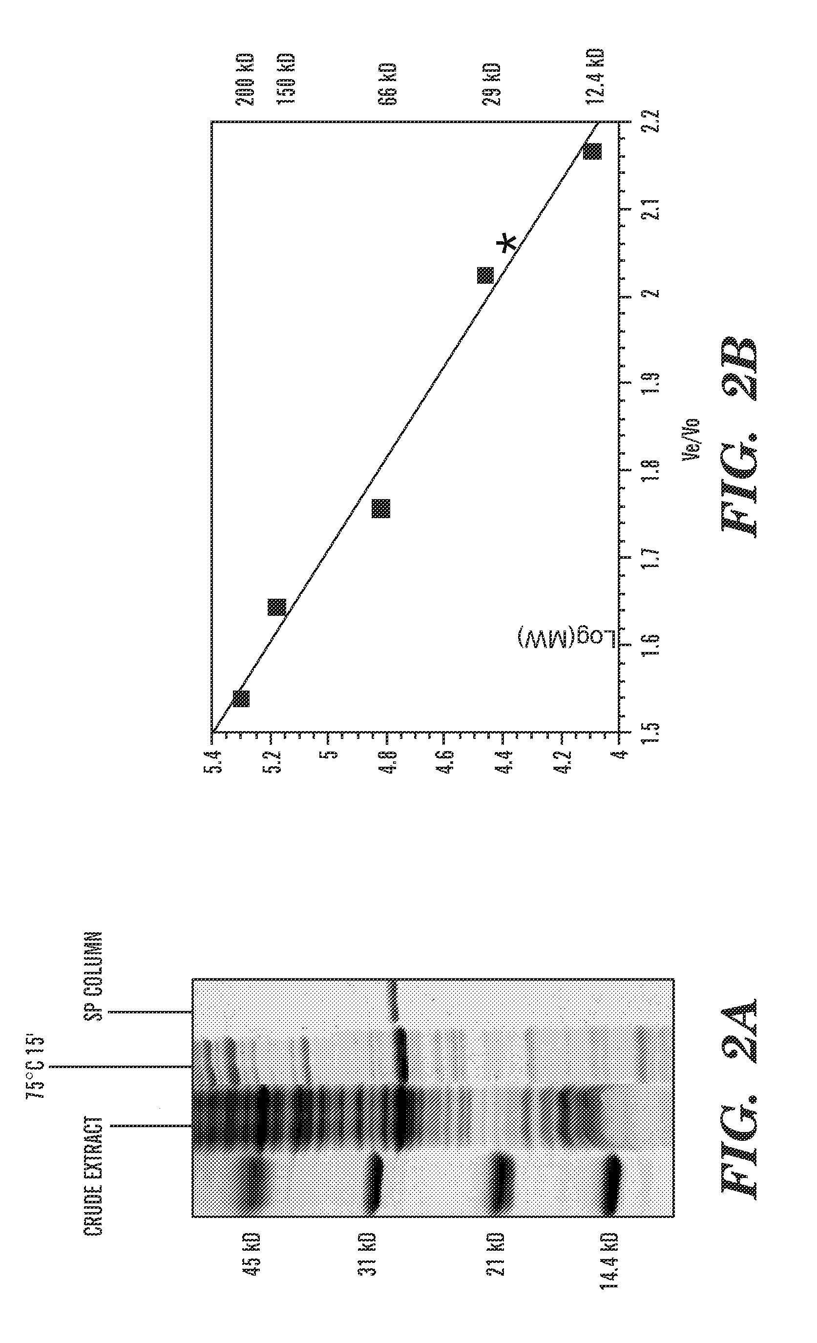 Detection of nucleic acid differences using combined endonuclease cleavage and ligation reactions