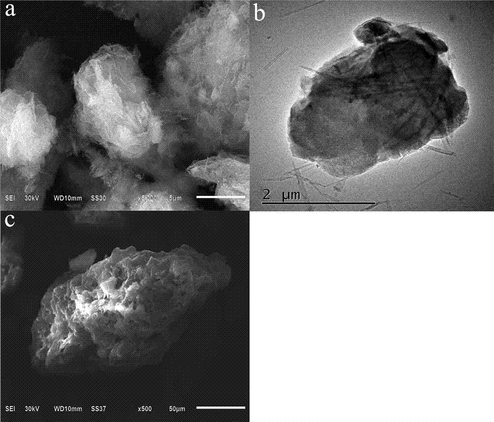 Magnetic composite functional material for high efficiency removal of Congo red in water and preparation method thereof