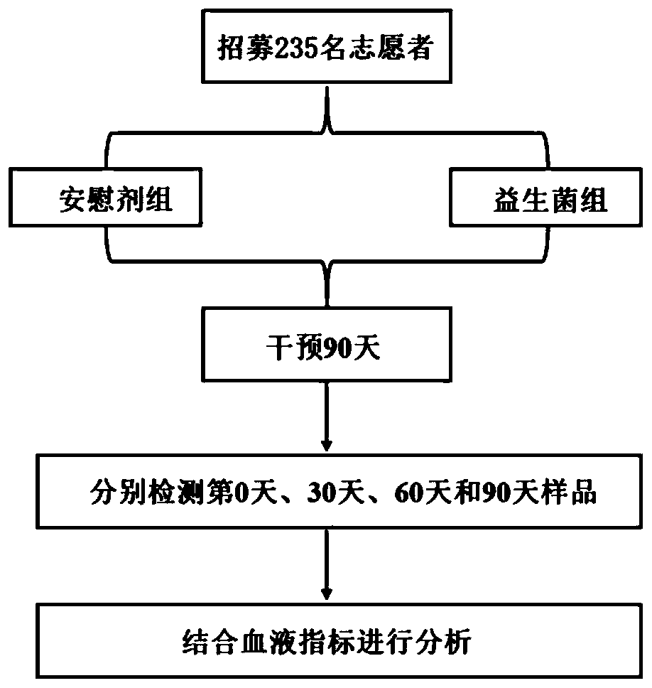 Bifidobacterium lactis for preventing and treating osteoporosis and application thereof
