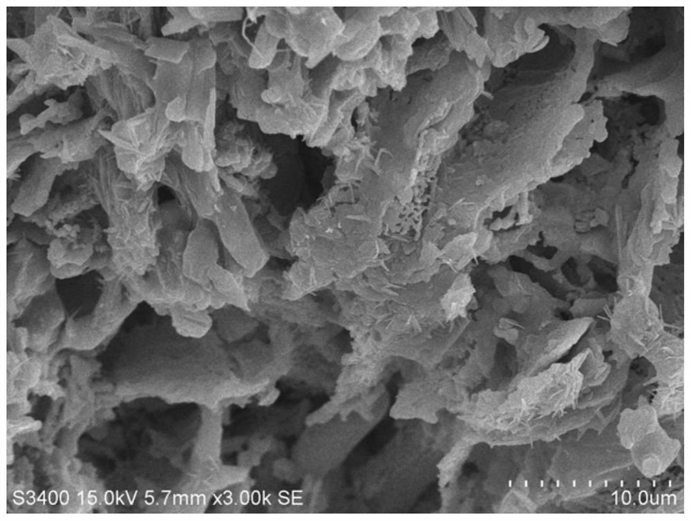 A biochar-based immobilized microbial agent and its preparation method and application