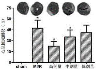 Application of frankincense extract in prevention and treatment of cardiovascular and cerebrovascular or liver and kidney damage