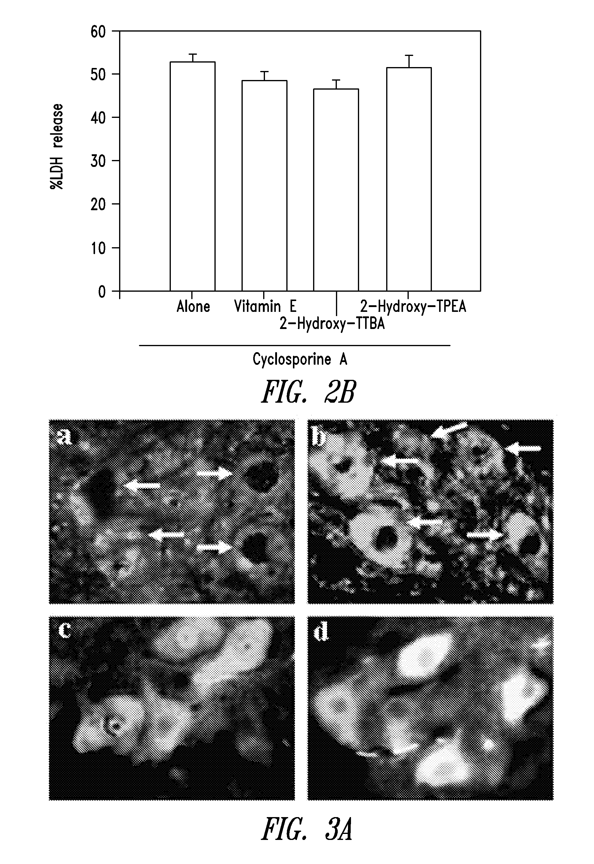 Compounds and compositions for treating neuronal death or neurological dysfunction