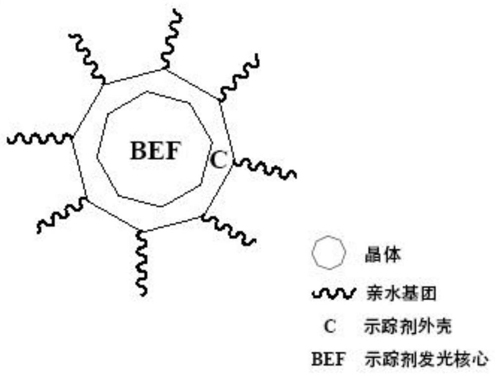 Synthesis method and application of "befc tracer"