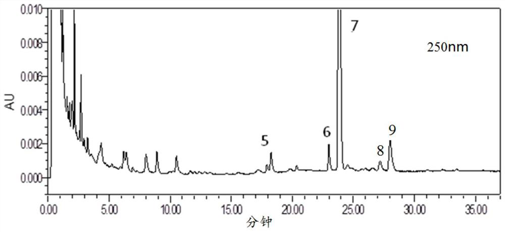 Detection method of bupleurum chinense and south bupleurum formula granules