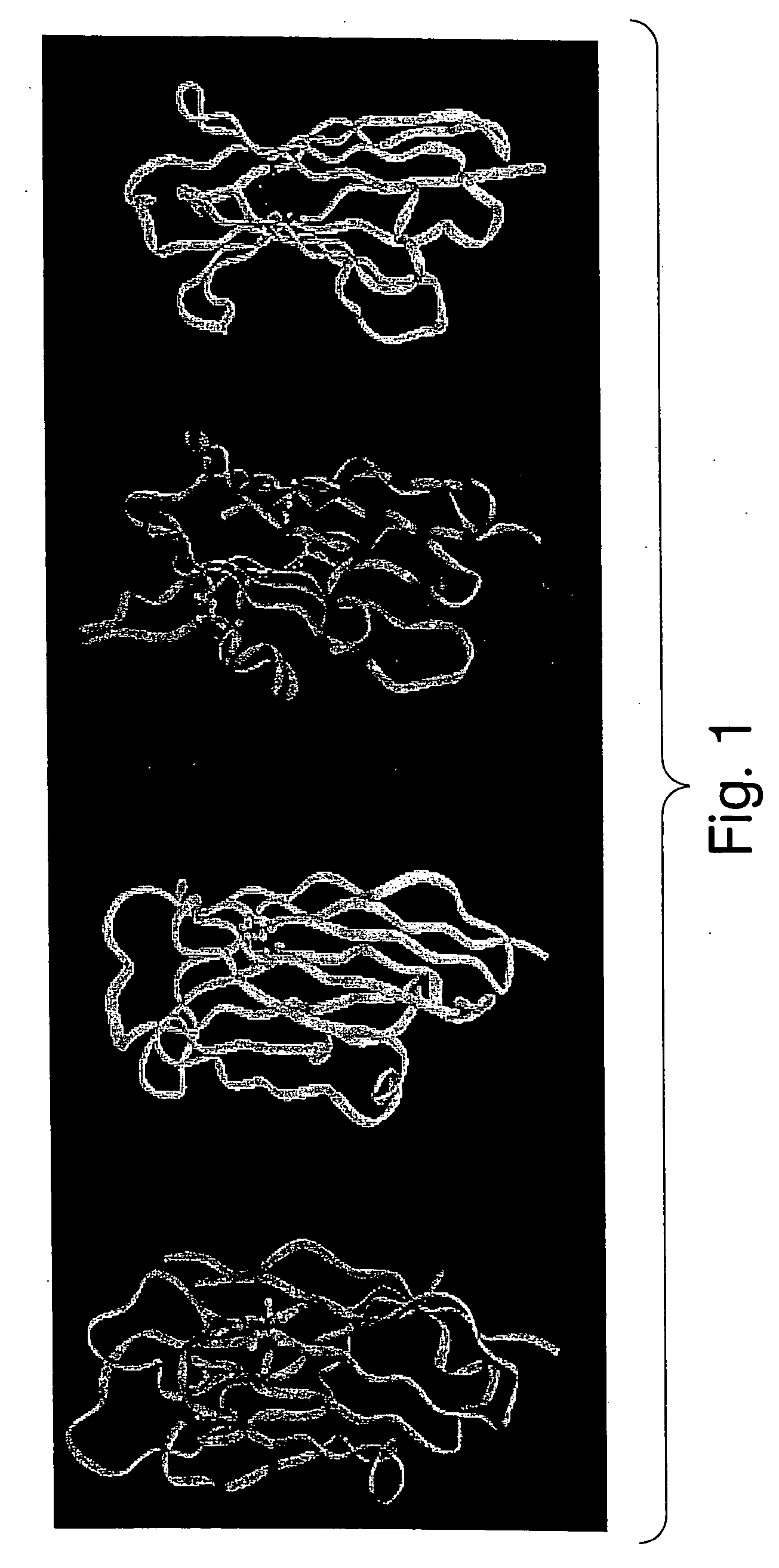 Protein scaffolds for antibody mimics and other binding proteins