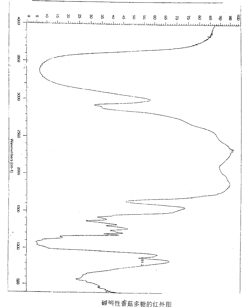 Alkaline soluble lentinan extraction, separation, purification and molecular weight determination