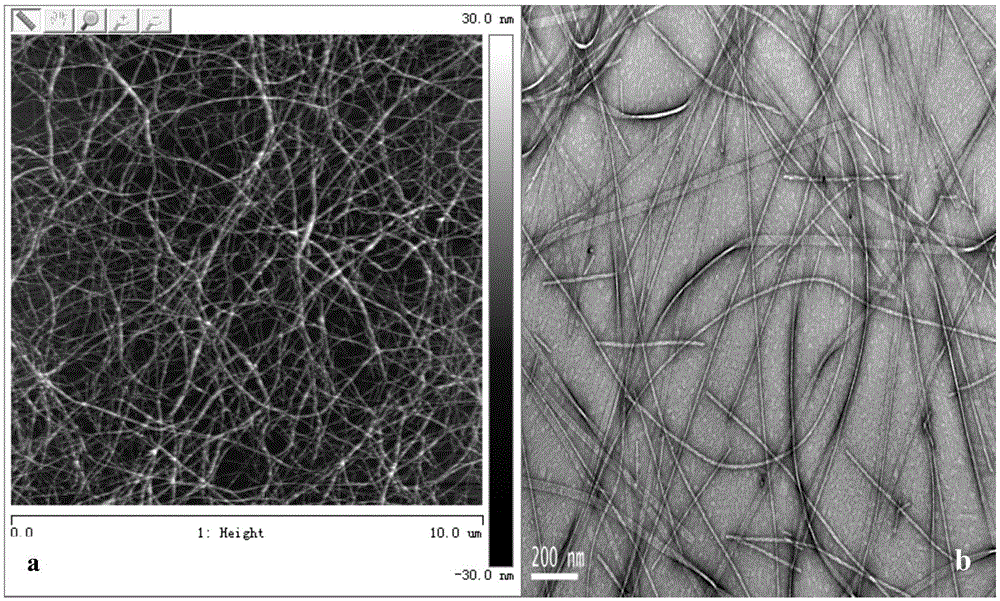 An amphiphilic self-assembled ultrashort peptide nanohemostatic material