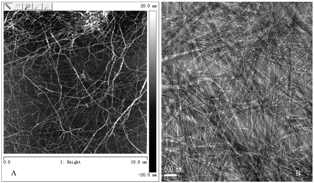 An amphiphilic self-assembled ultrashort peptide nanohemostatic material