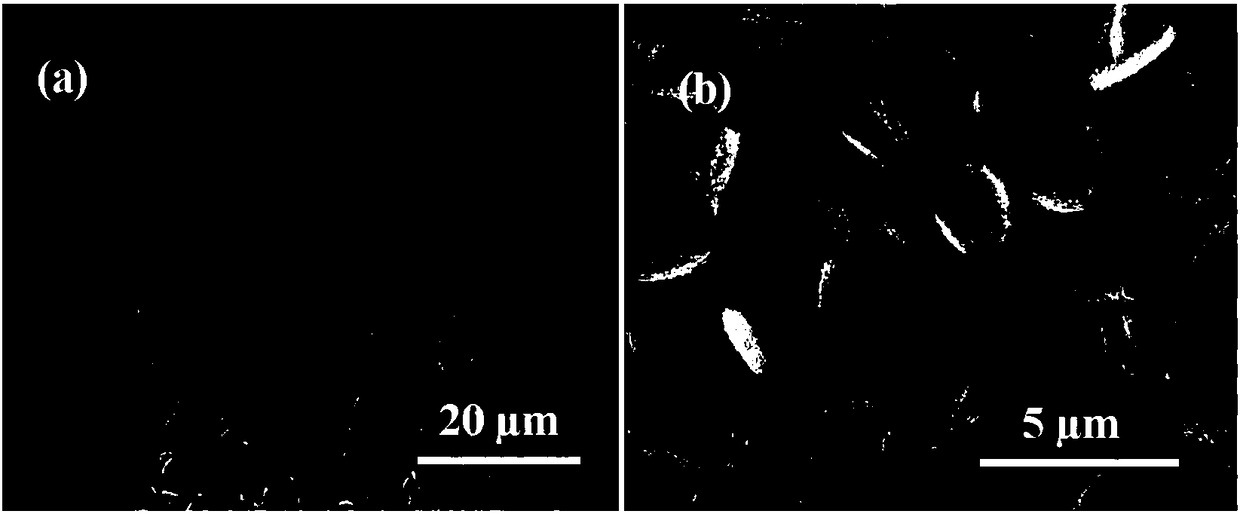 Method for preparing disk-shaped MnO2 supercapacitor material with foamed nickel self-supporting nanosheet stack