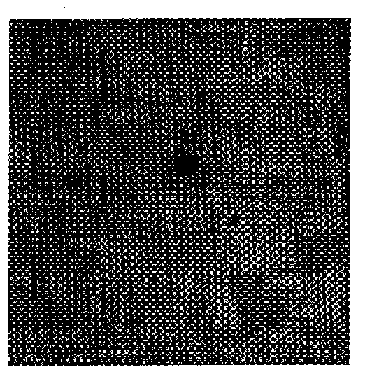 Kit for early cancer metastasis hybridization in situ, detection method and application thereof