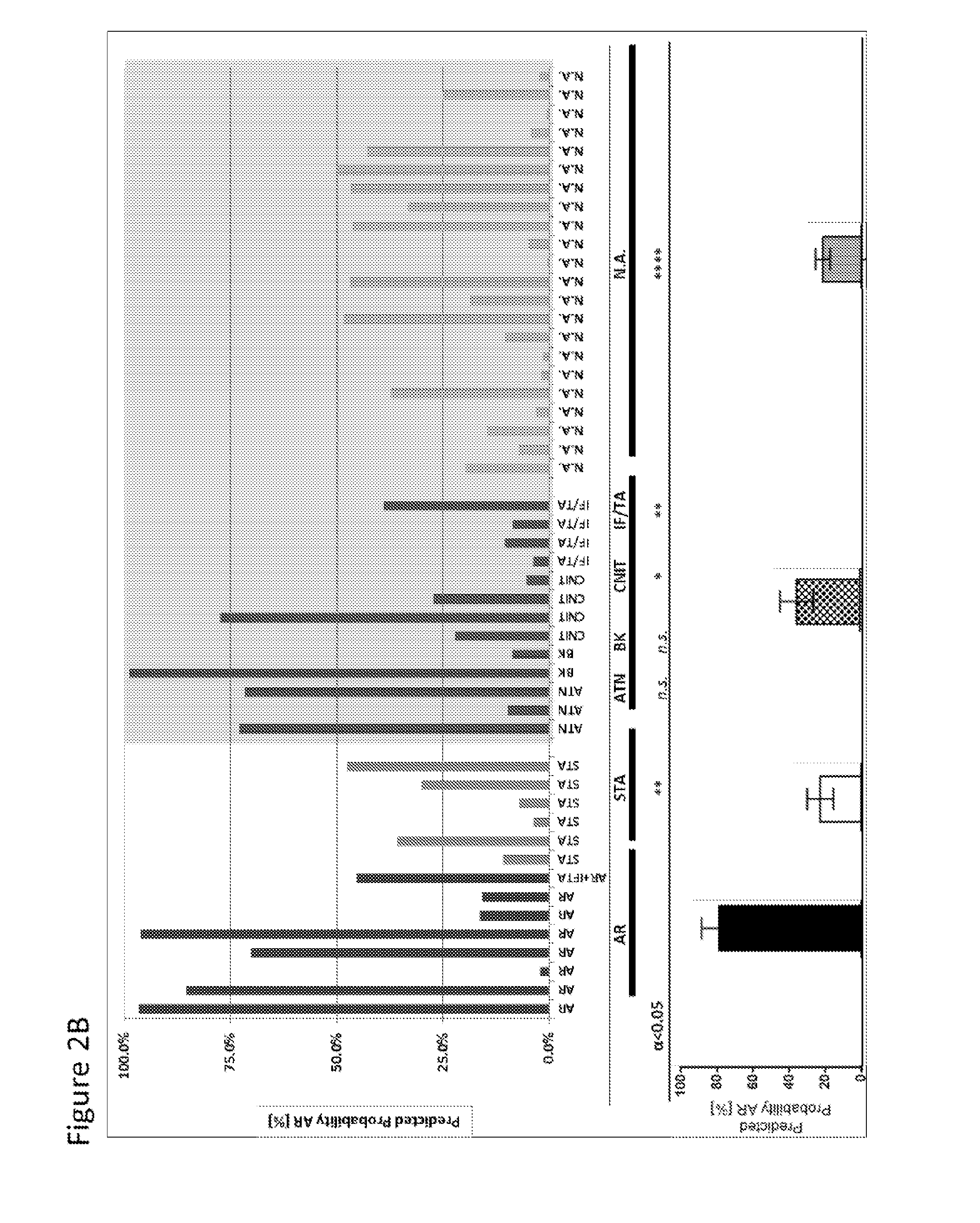 Compositions and methods for assessing acute rejection in renal transplantation