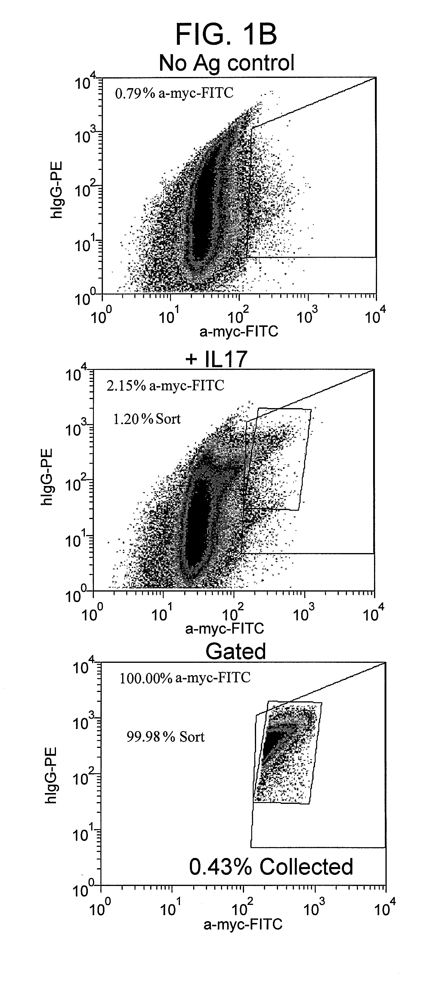 Methods of generating improved antigen-binding agents using chain shuffling and optionally somatic hypermutation