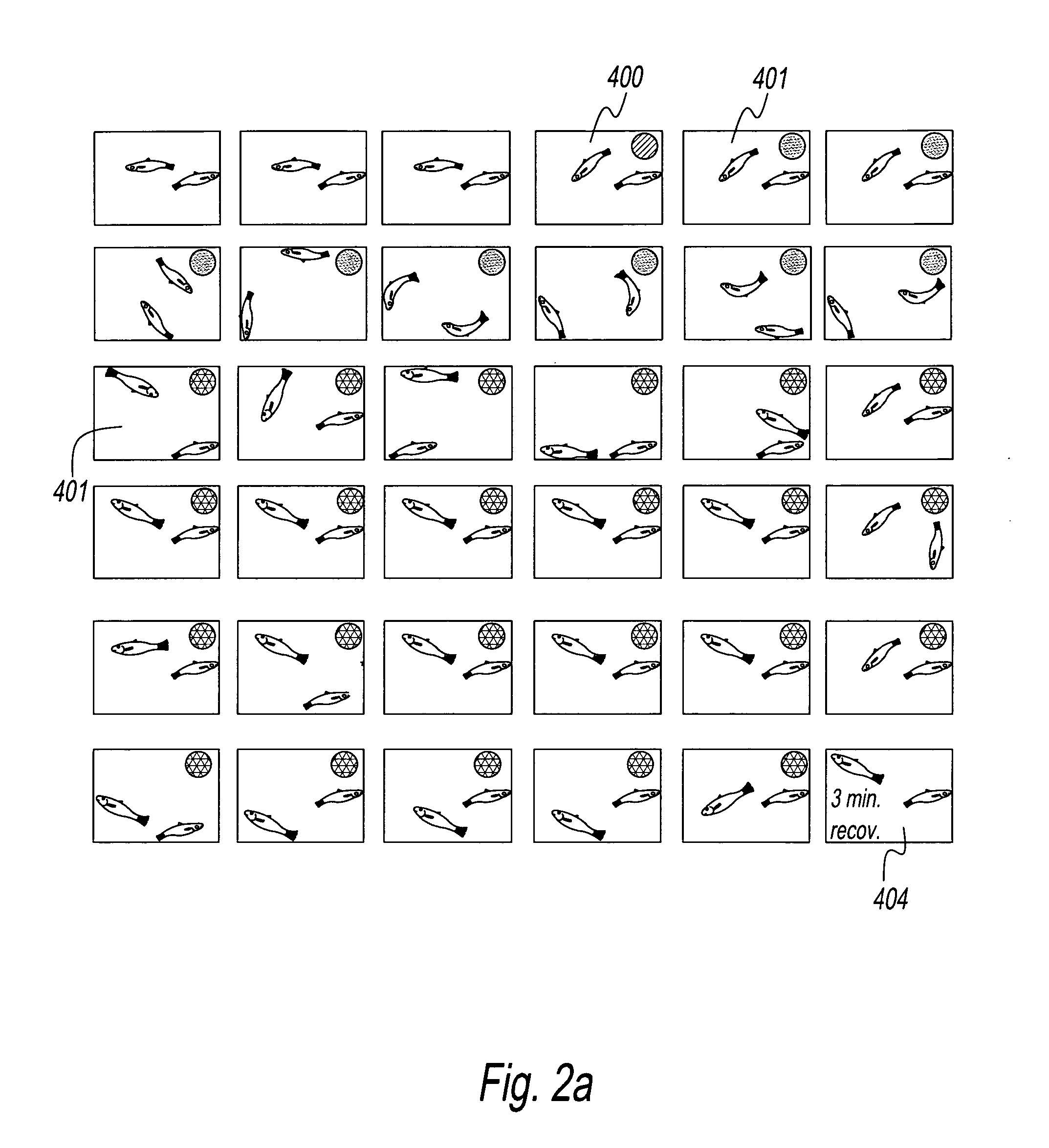 High throughput method and system for screening candidate compounds for activity against epilepsy and other neurological diseases