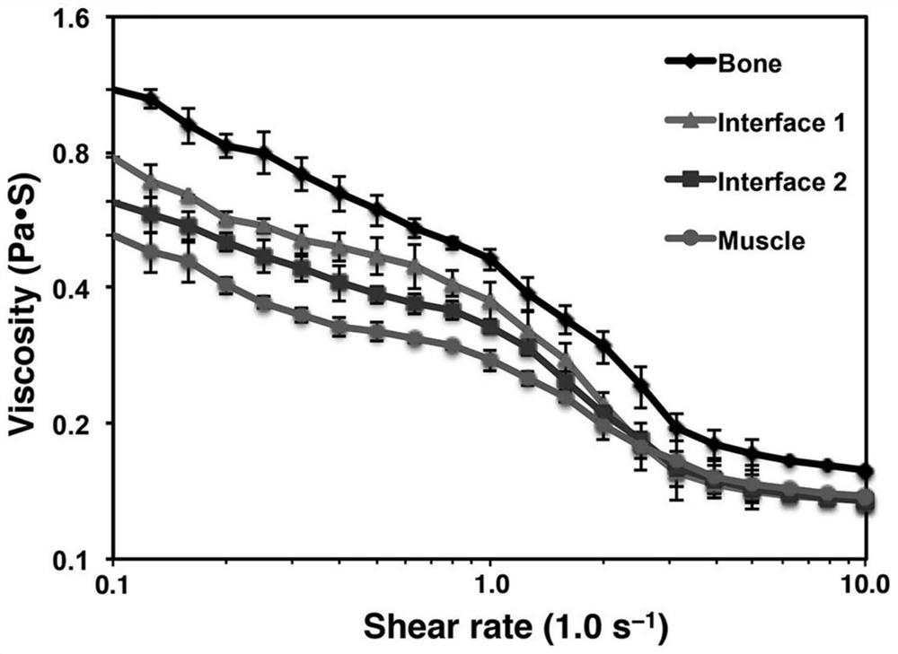 Preparation of biomimetic skeletal muscle composite tissue by multi-channel extrusion 3D bioprinting