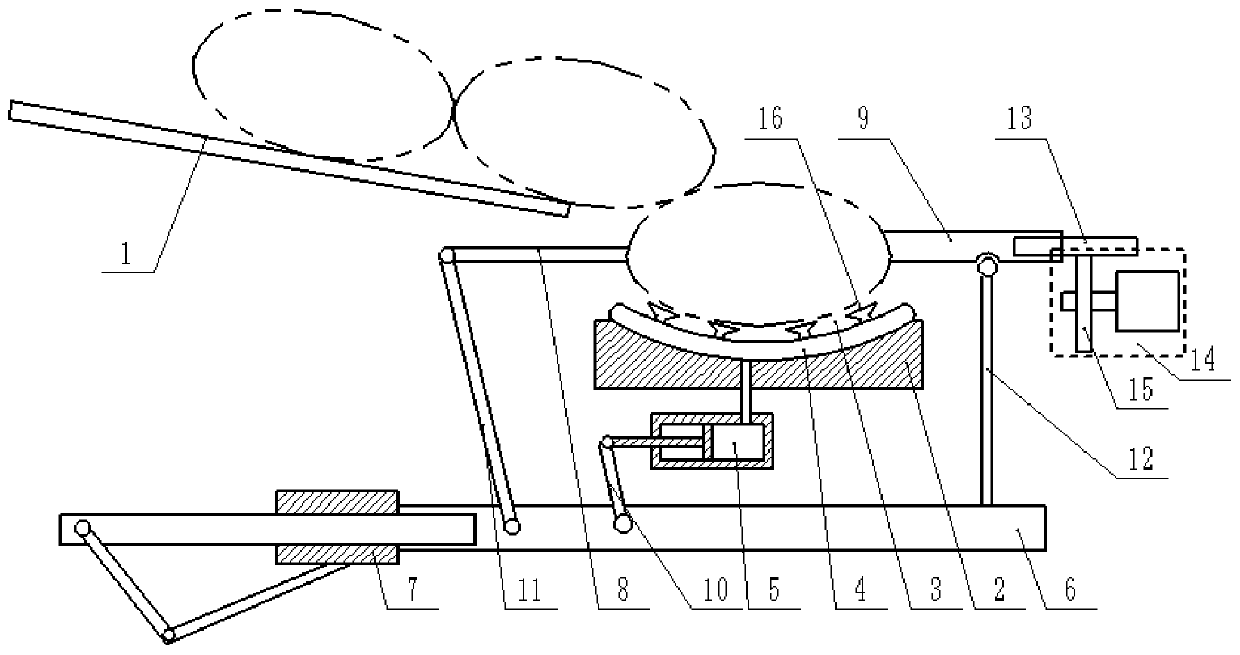 Walnut Sheller