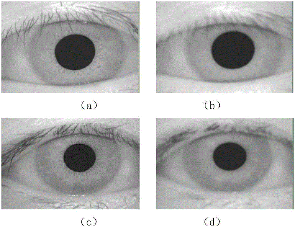 Heterogeneous iris classifier designing method capable of quickly filtering out fake irises during iris recognition and pretreatment