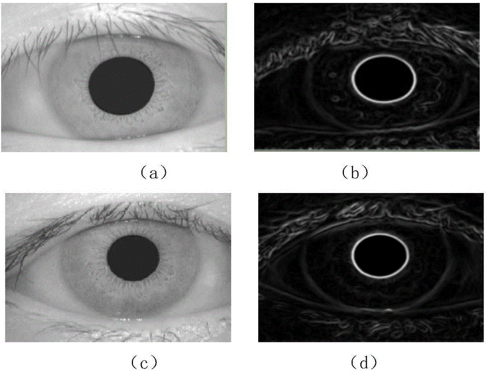 Heterogeneous iris classifier designing method capable of quickly filtering out fake irises during iris recognition and pretreatment