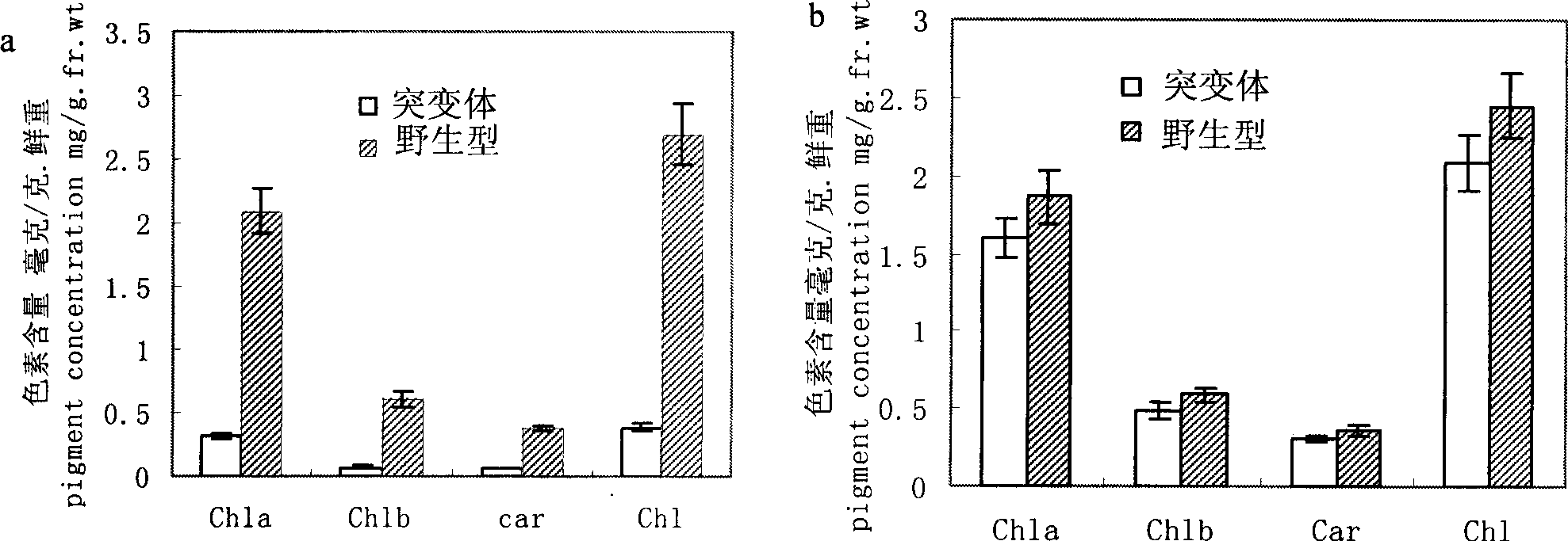 Plant chloroplast development associated protein, and coding gene and use thereof