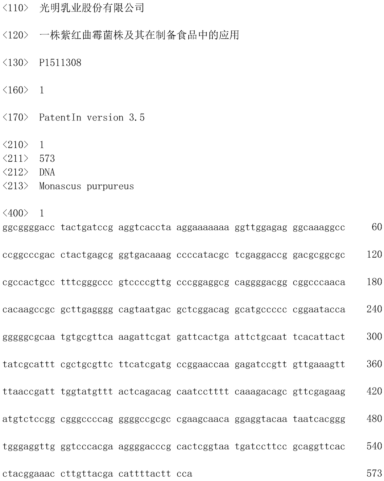 A strain of Monascus purpura and its application in food preparation