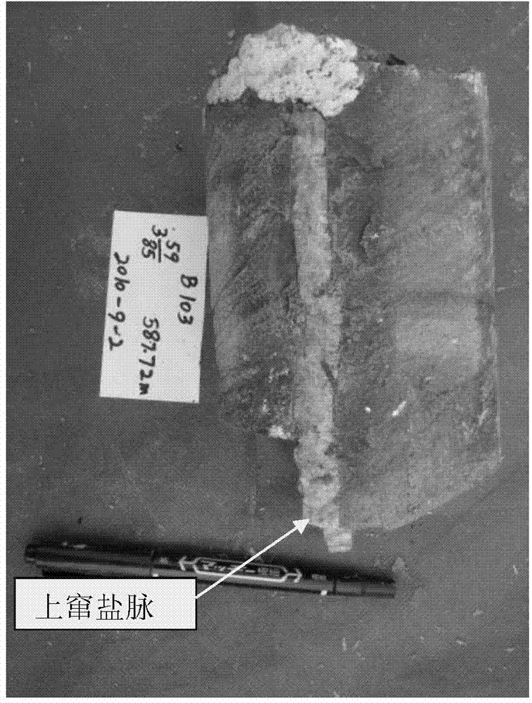 Method for searching for deeply-buried solid sylvite ore deposit