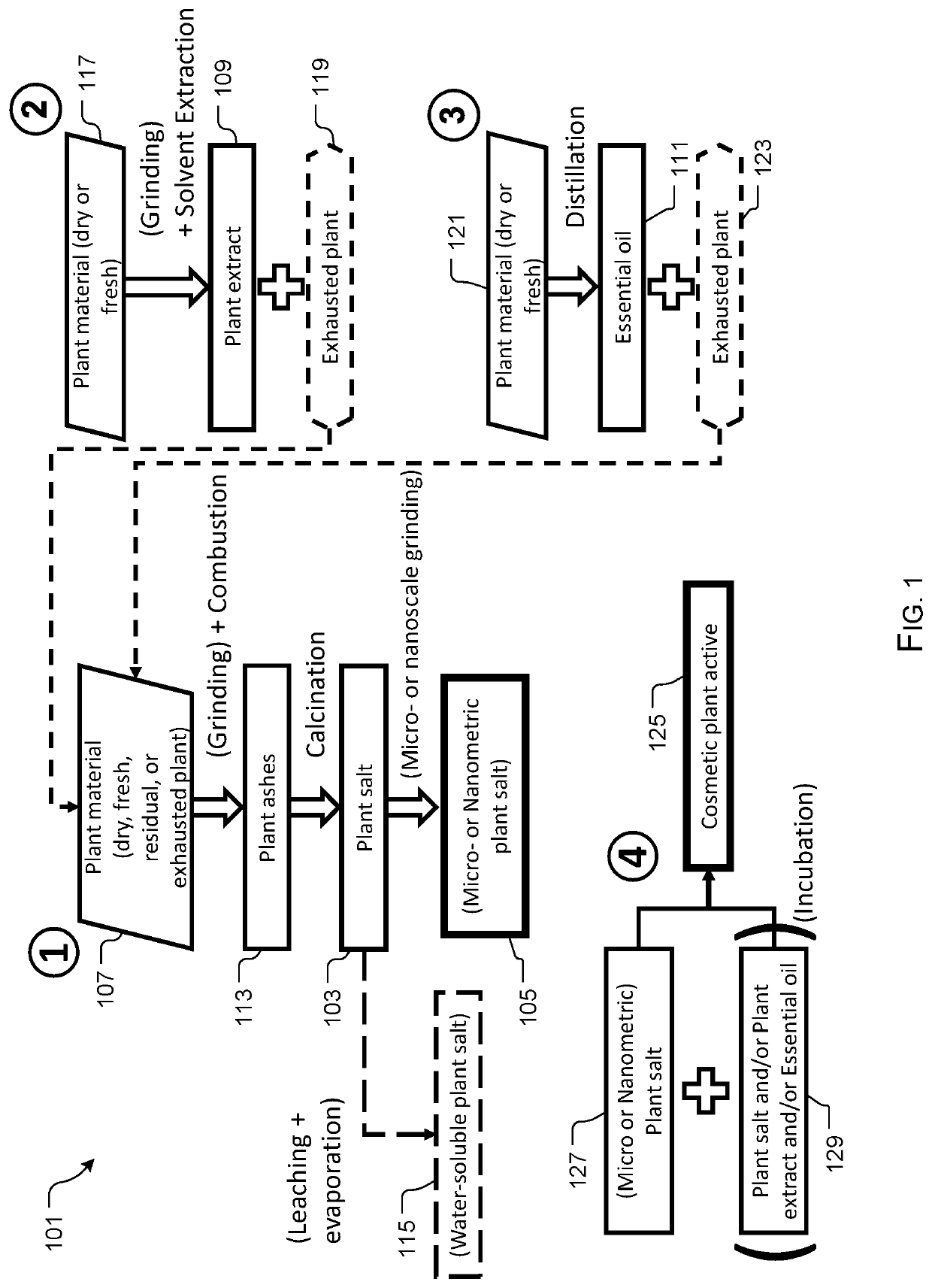 Process for preparing potent plant based cosmetic actives and application to an antiperspirant active