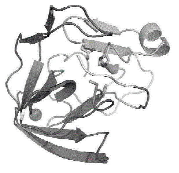 Crystal structure of enterovirus 71 type 2A protease and application of crystal structure in drug design