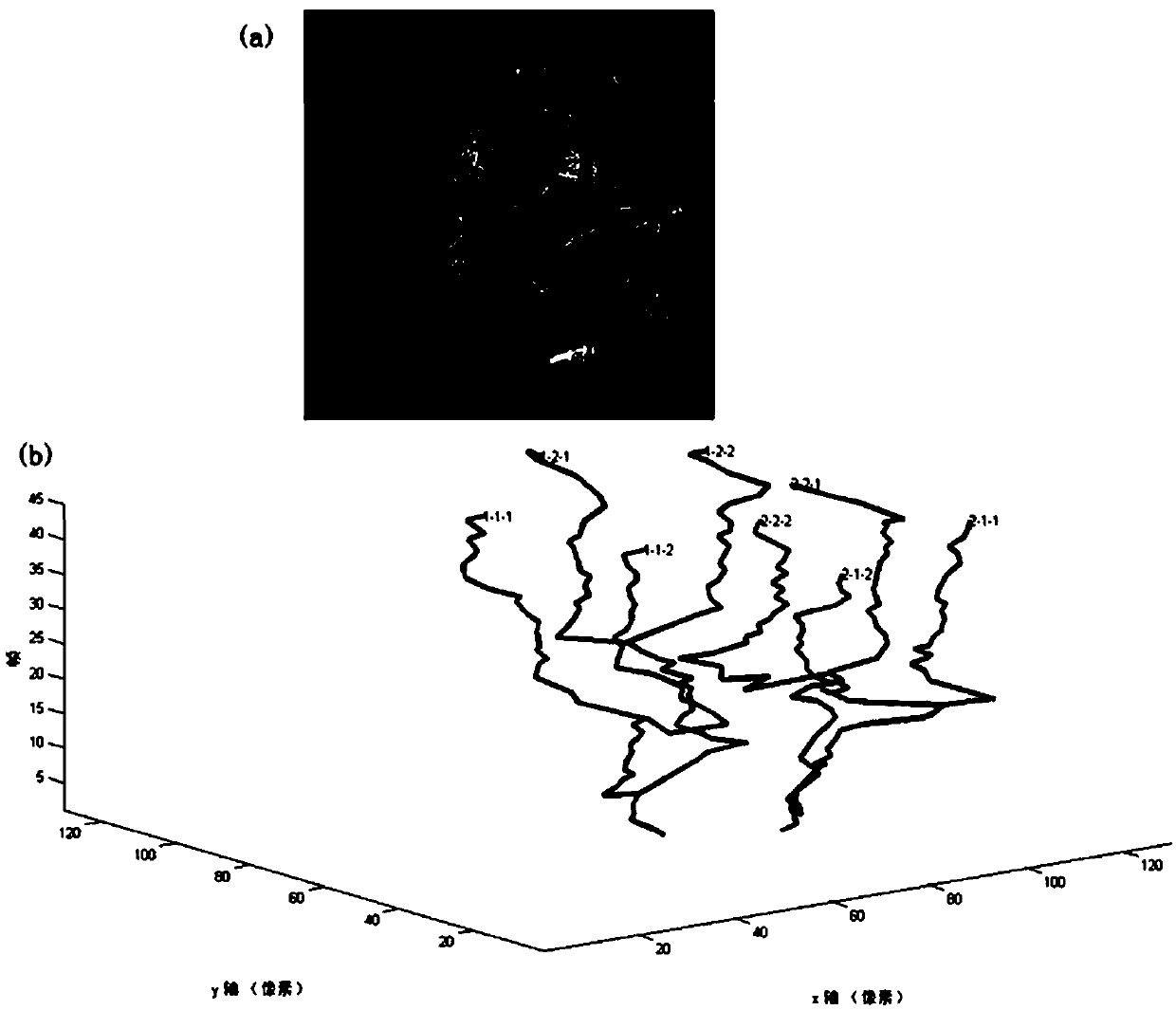 Multi-bernoulli random stochastic finite ant colony multi-cell tracking method