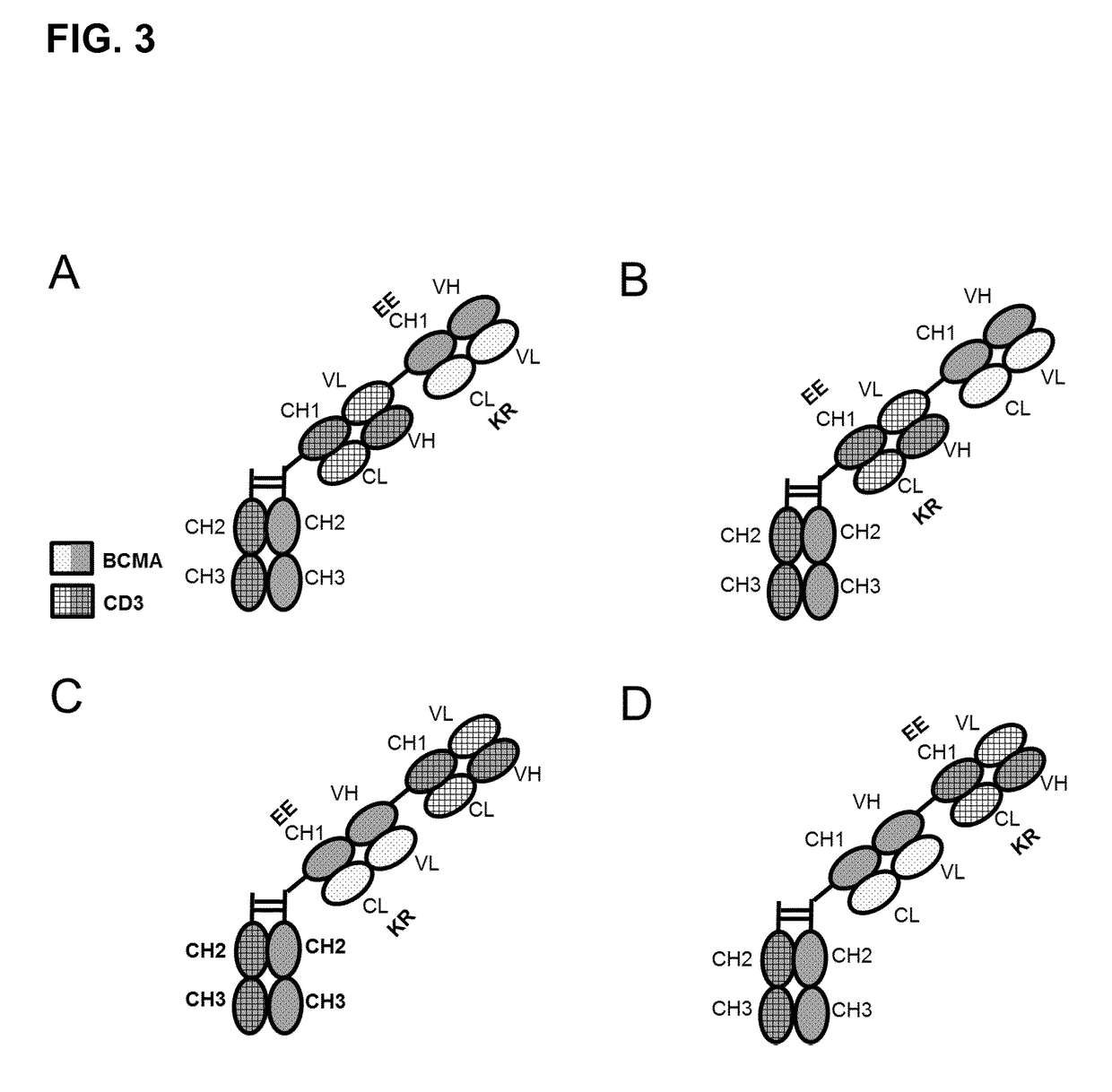 Bispecific antibodies against cd3epsilon and bcma