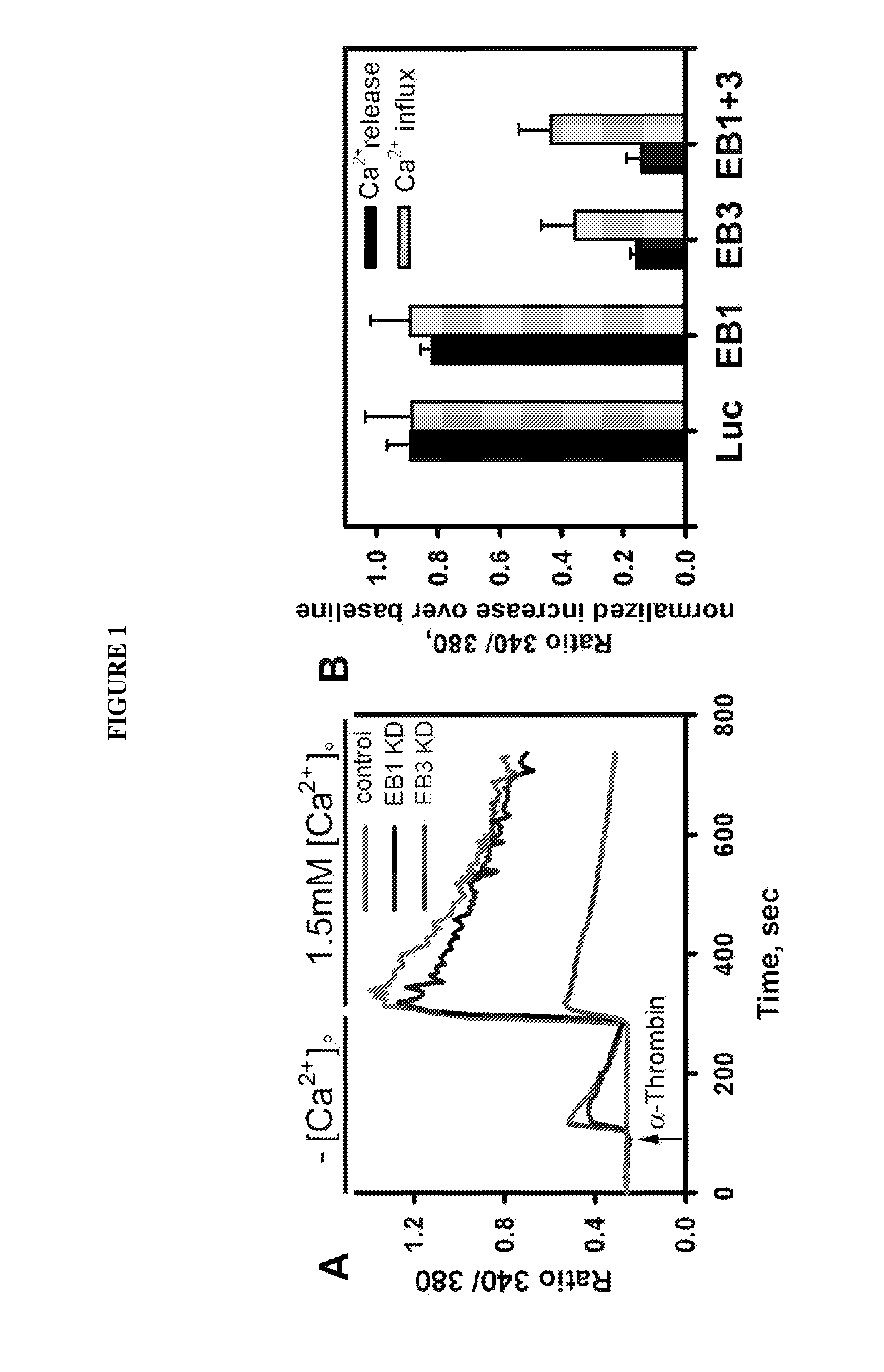 Peptide compositions and methods for treating lung injury, asthma, anaphylaxis, angioedema, systemic vascular permeability syndromes, and nasal congestion