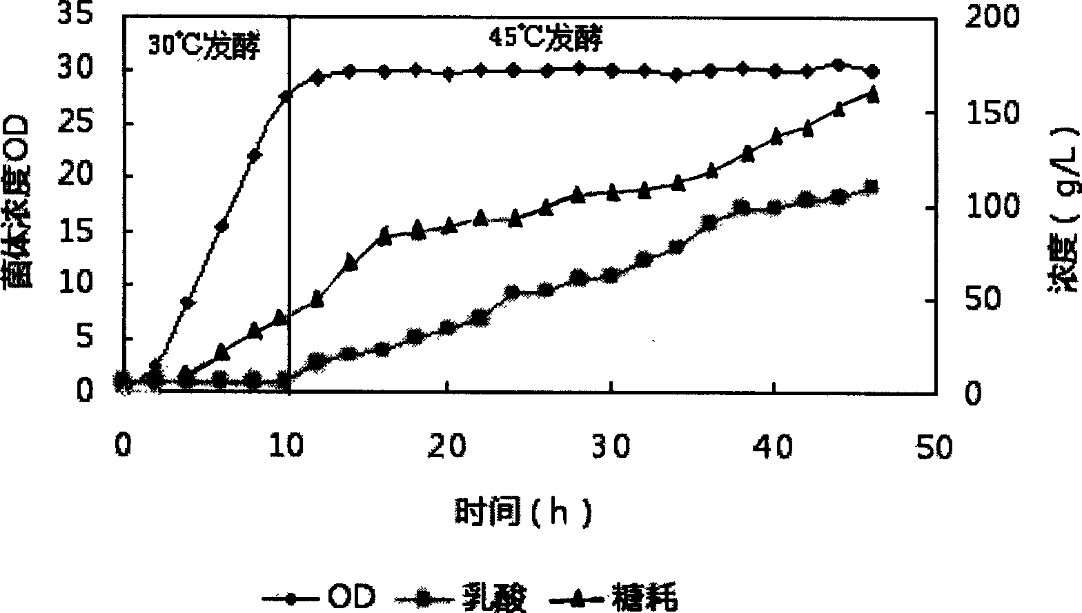 Method for preparing high optical purity D-lactic acid by fermentation