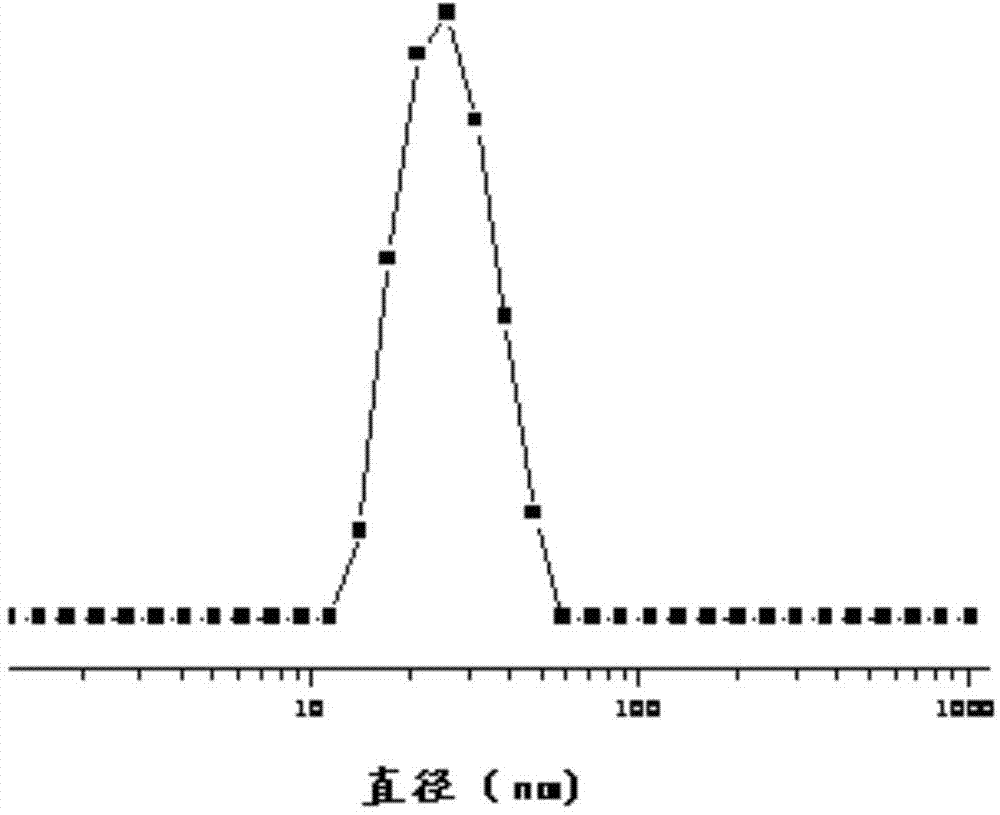 Responsive polymeric micelle drug carrying system and preparation method thereof