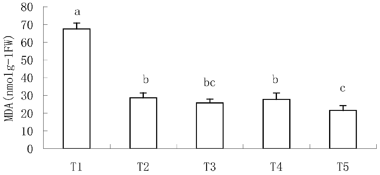 A compound preparation for relieving low temperature and weak light stress of crops and its application