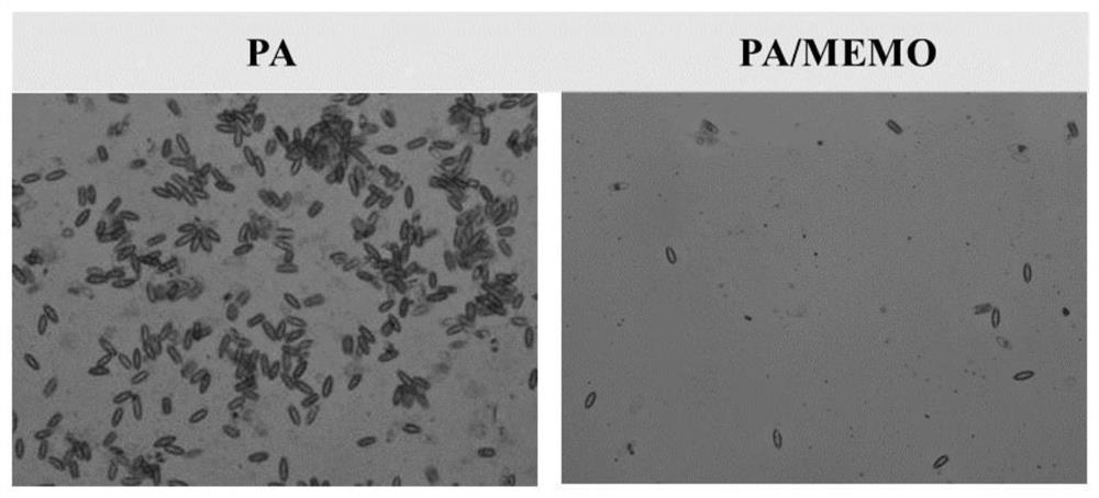Bacteriostatic and seaweed adhesion-resistant silane modified polyampholyte hydrogel high-adhesion coating and preparation method thereof