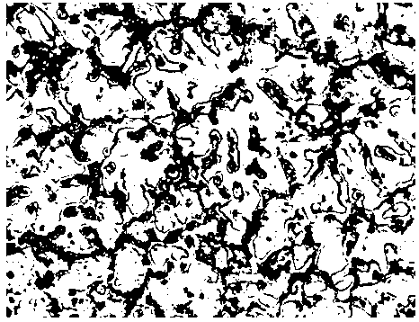 Preparation method of magnesium base composite doped with SiC grains