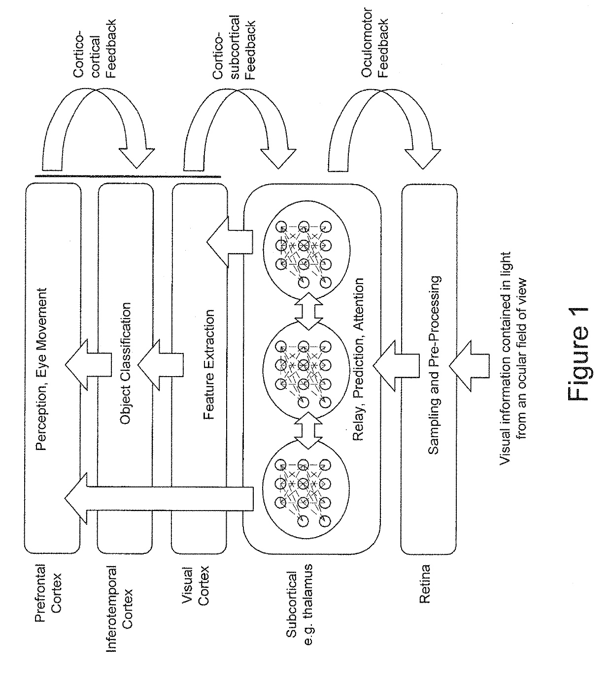 Light control devices and methods for regional variation of visual information and sampling