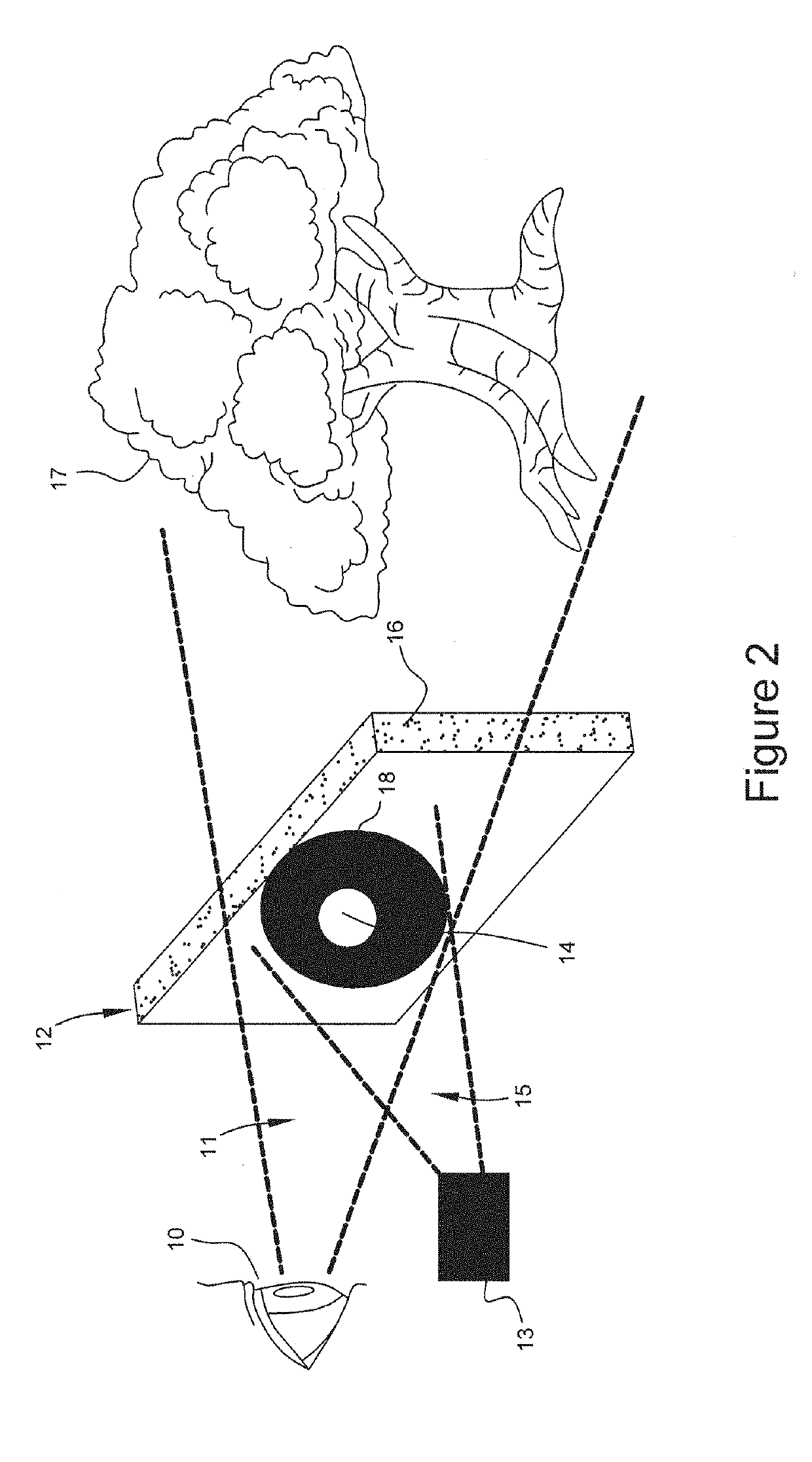 Light control devices and methods for regional variation of visual information and sampling