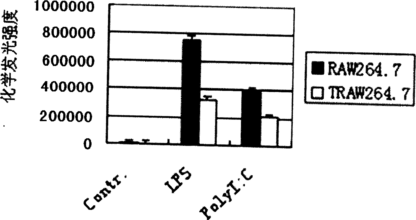 Method for screening of immunological tolerance associated disease gene RGS1 based on immunological tolerance dendritic cell