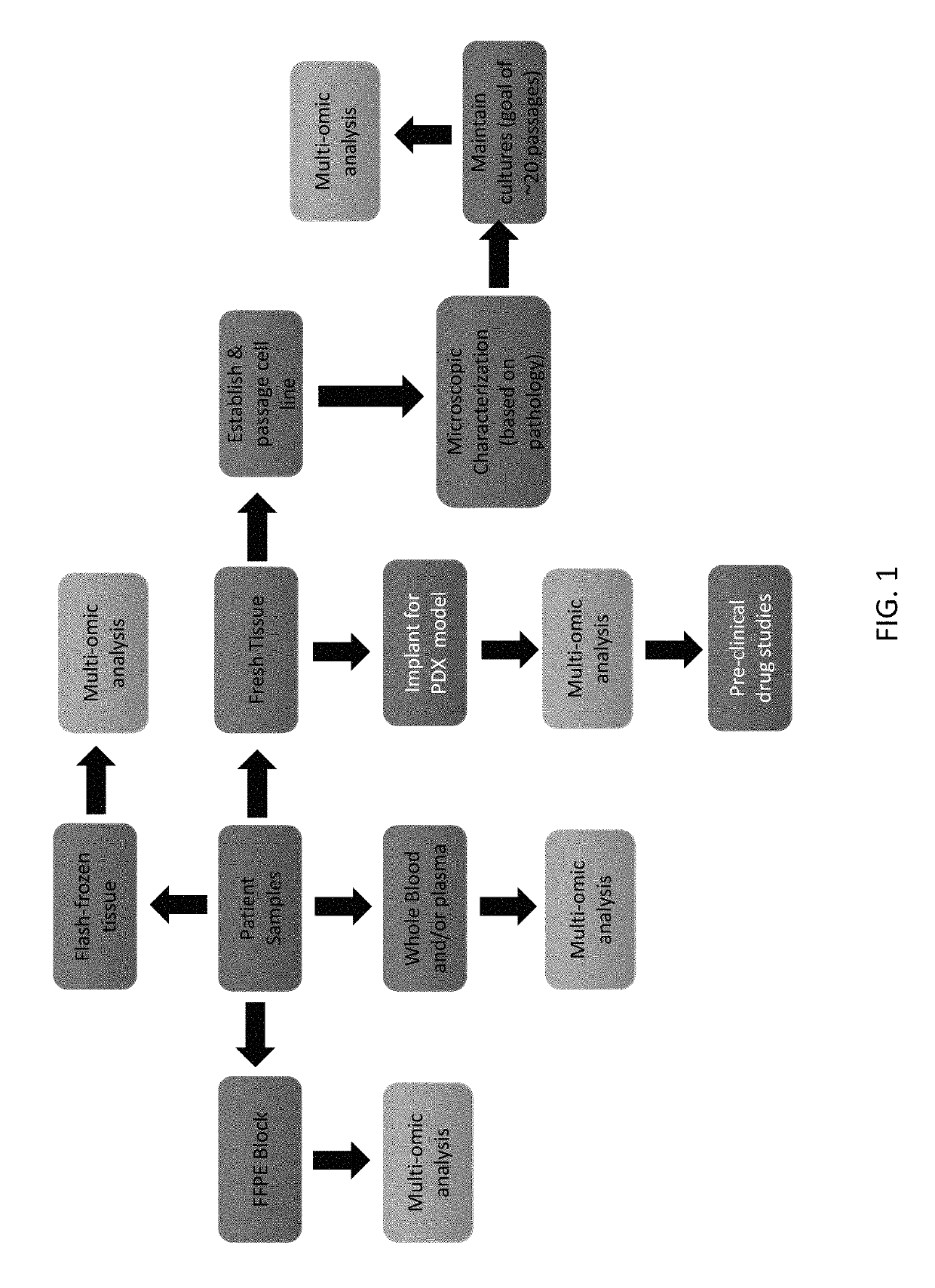 Systems and methods for preclinical models of metastases