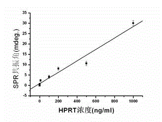 HPRT (hypoxanthine phosphoribosyl transferase) body gene mutation detection method based on surface plasmon resonance
