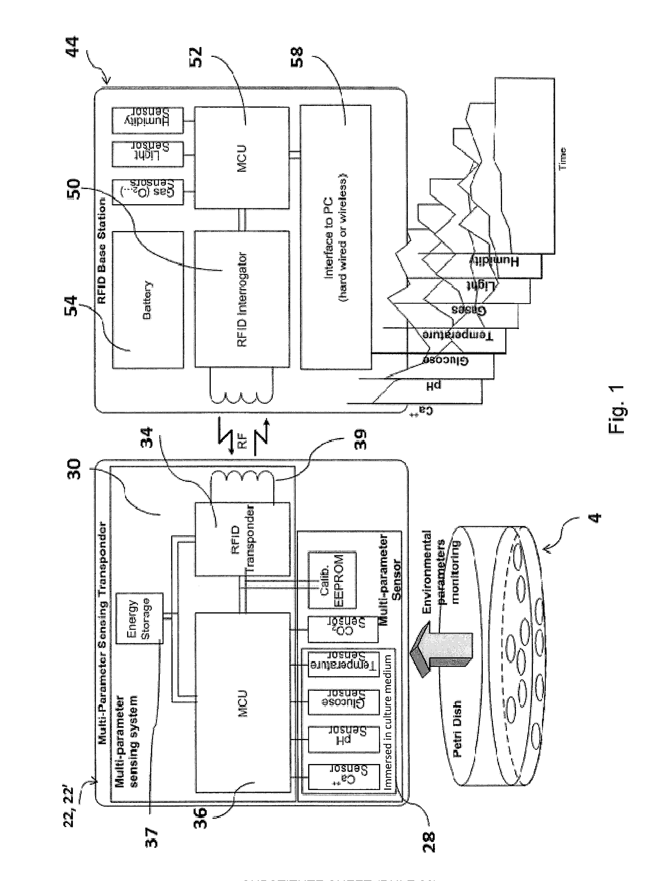 Monitoring system for cell culture