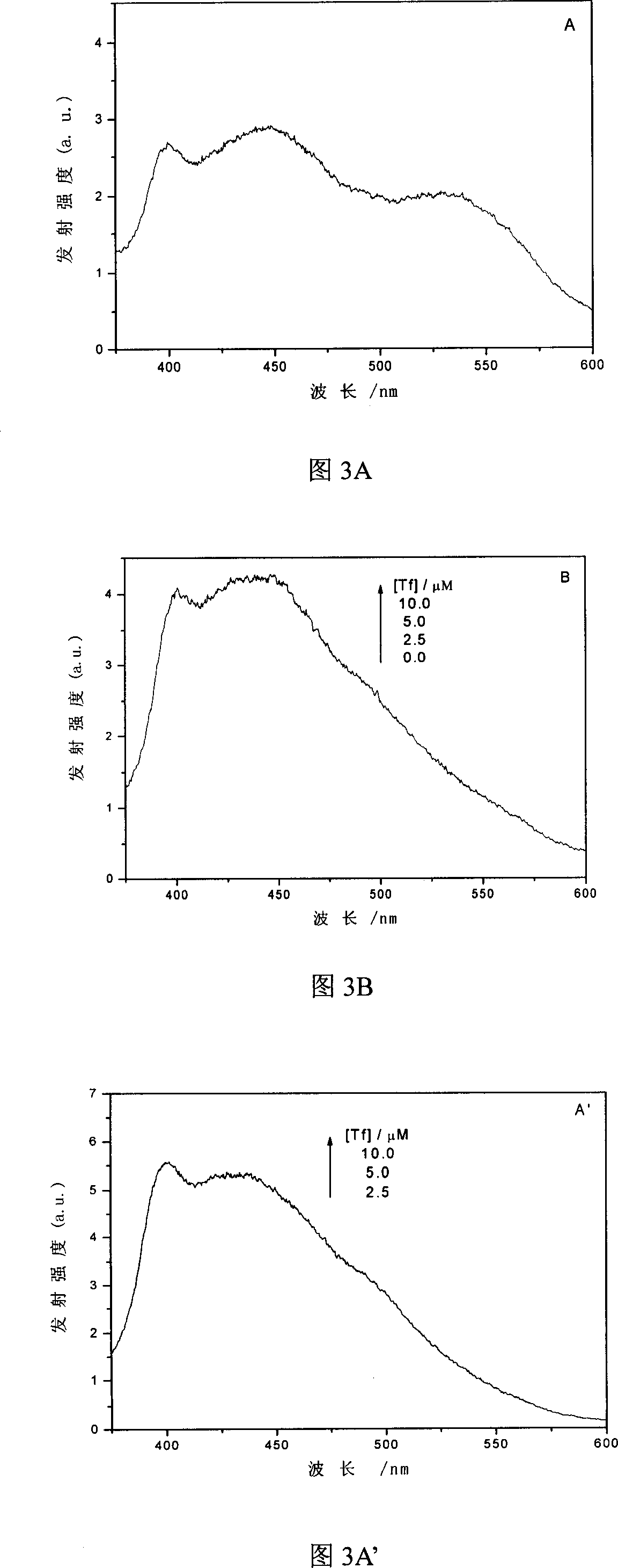 Mixture solution containing conjugate of transferrin and quercetin and its use