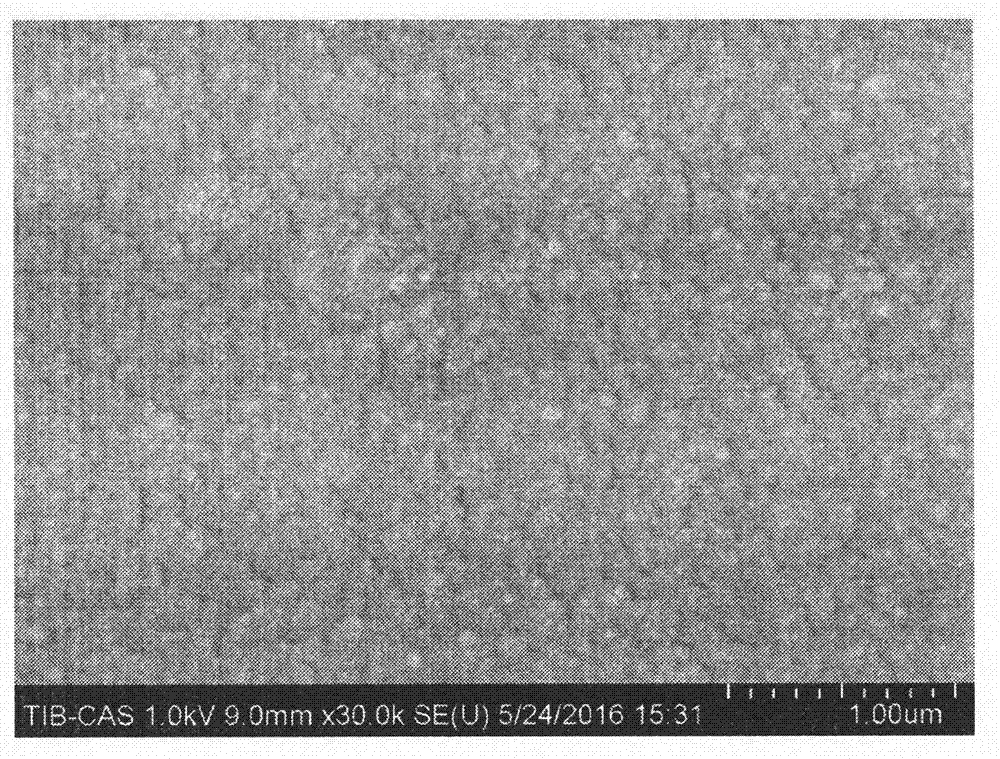 Three-dimensional SERS (surface enhanced raman scattering) substrate based on macromolecular brush/metal nanometer particle composite film and preparation method thereof