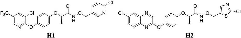 N-(oxo-ethyl)-2-[4-(pyridine-2-yl-oxy)phenoxy]amide derivative